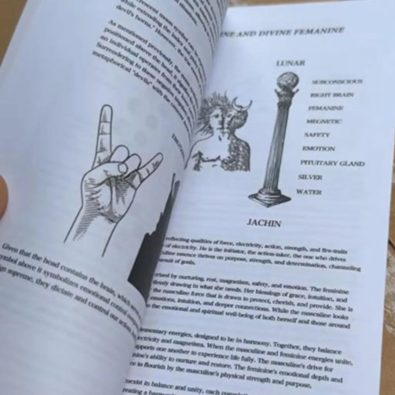 Patlama Akıllığı Kitabı Temalı - Outdoor Adventure Books incelemesi ve fiyatı