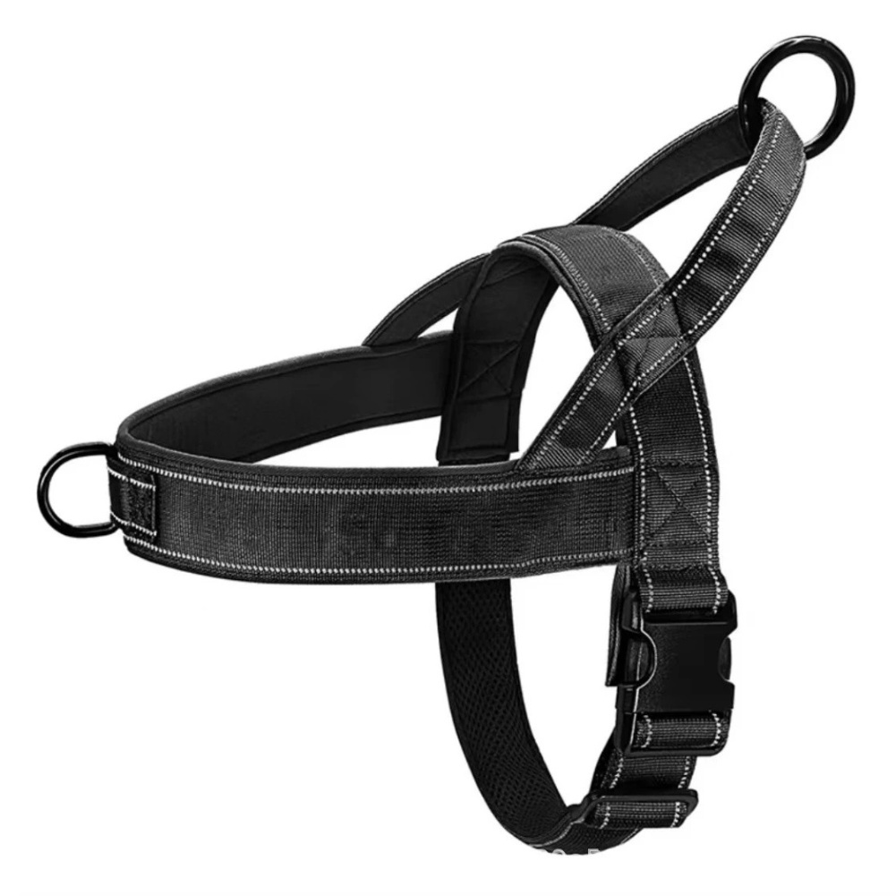 Hızlı Çıkartılabilir Toka Çeki - Outdoor Adventure Walks incelemesi ve fiyatı