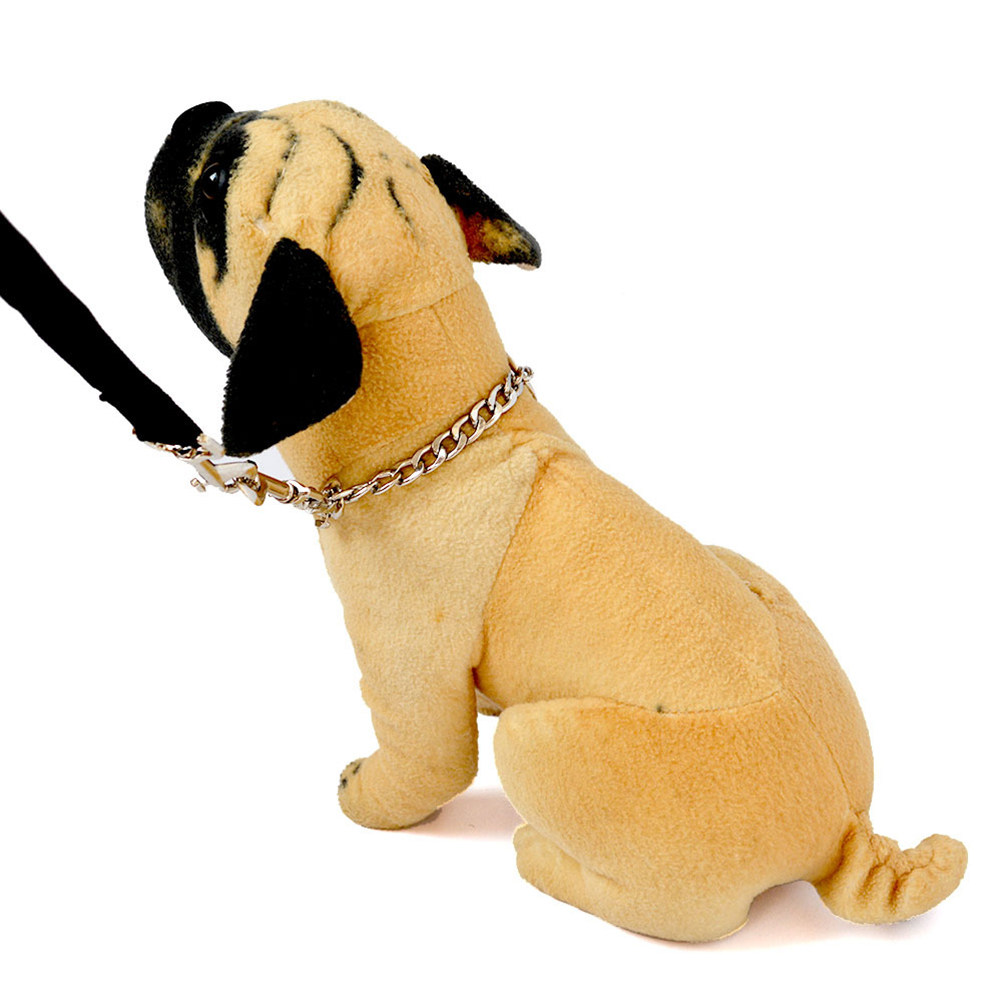 Çift Başlıklı Köpek Yürüyüş İp - Outdoor Adventure Walks incelemesi ve fiyatı