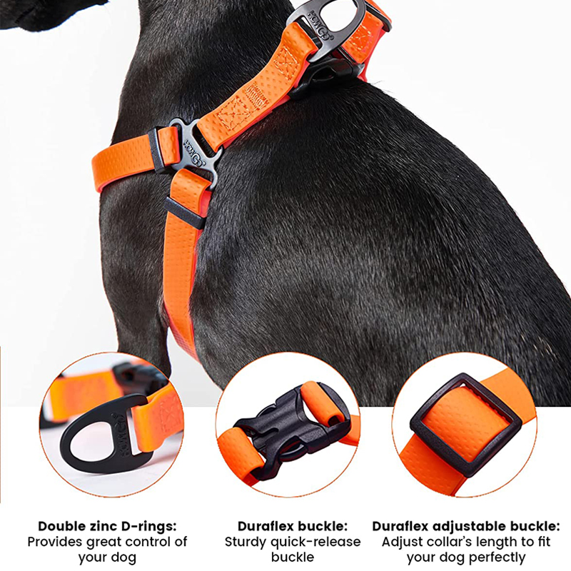 Ayarlanabilir Köpek Tasması Çe - Outdoor Adventure Walks incelemesi ve fiyatı