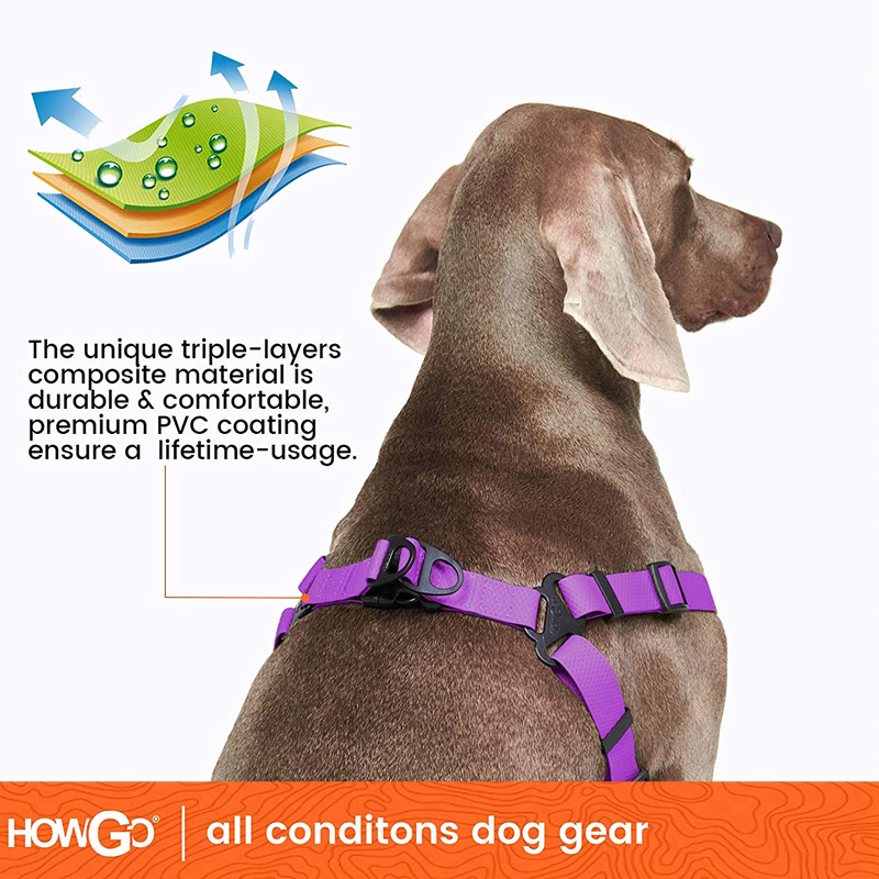 Ayarlanabilir Köpek Tasması Çe - Outdoor Adventure Walks incelemesi ve fiyatı